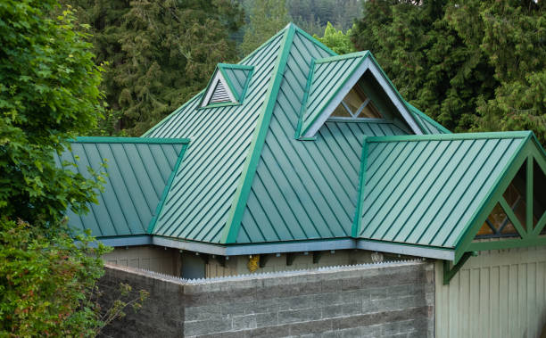 Best Steel Roofing  in Algonquin, IL