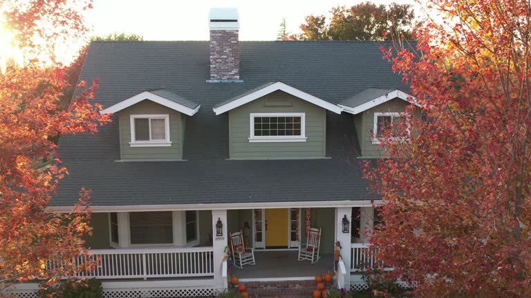 Best Skylight Installation and Repair  in Algonquin, IL