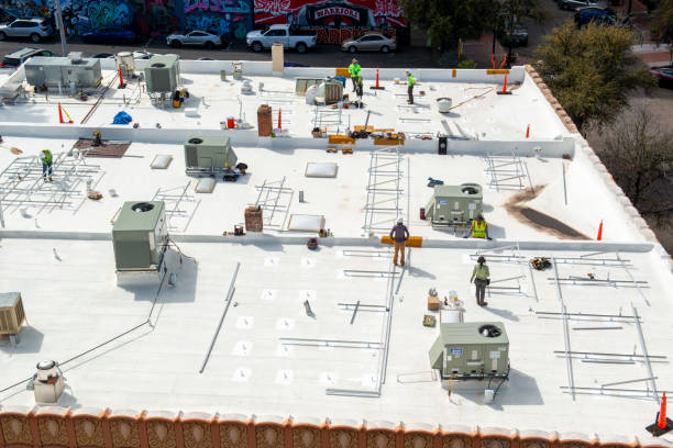Best Cold Roofs  in Algonquin, IL