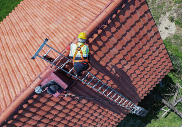 Best 4 Ply Roofing  in Algonquin, IL