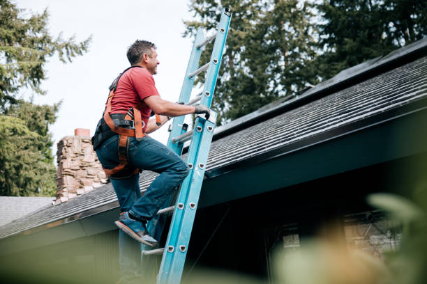 Best Asphalt Shingles Roofing  in Algonquin, IL